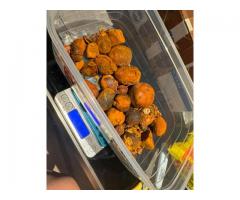 Buy Caluanie Muelear Oxidize online,Vape,Buy 99.9% pure GBL,GHB,BDO:::::WhatsApp:+237682890280